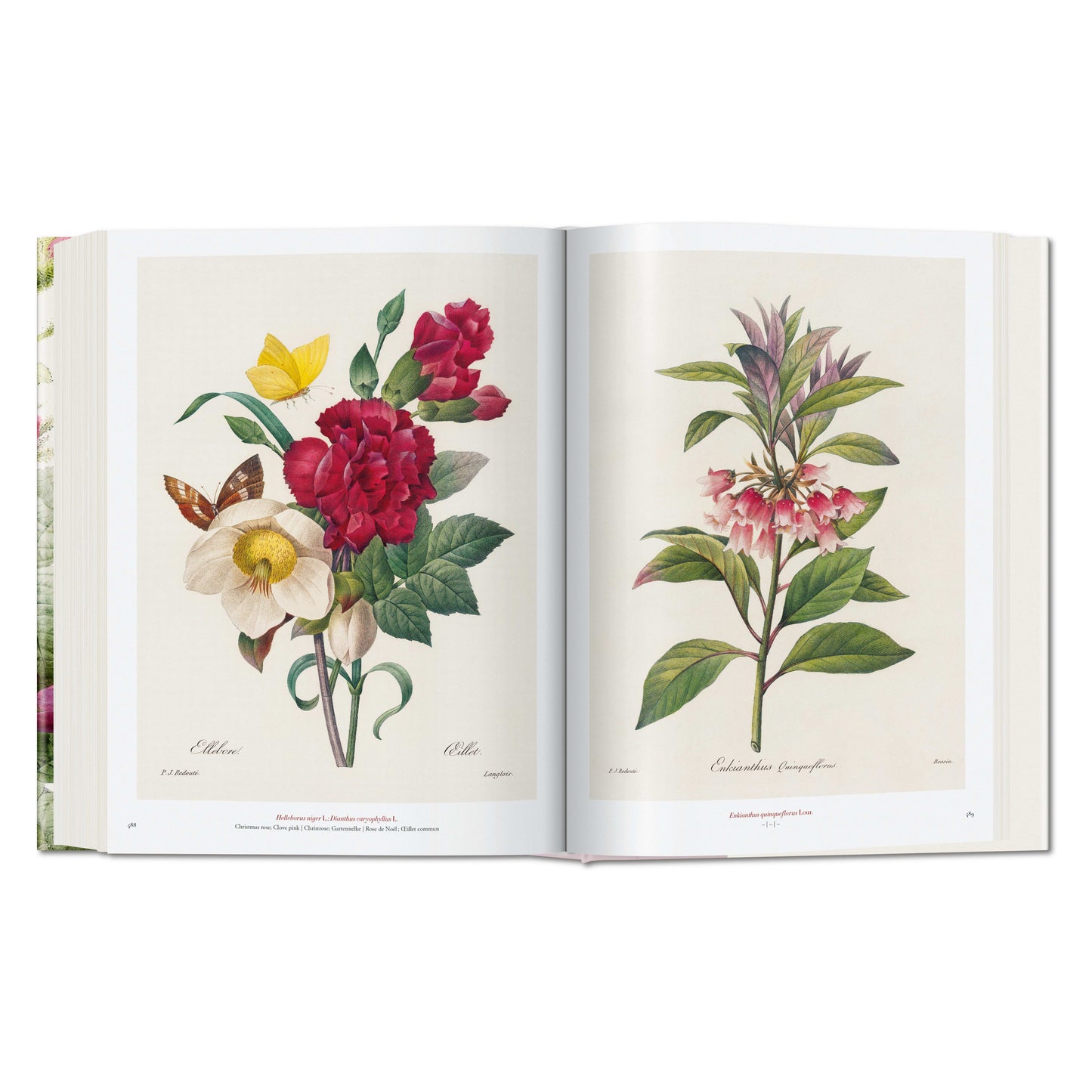 Redouté. The Book of Flowers (German, French, English) Book