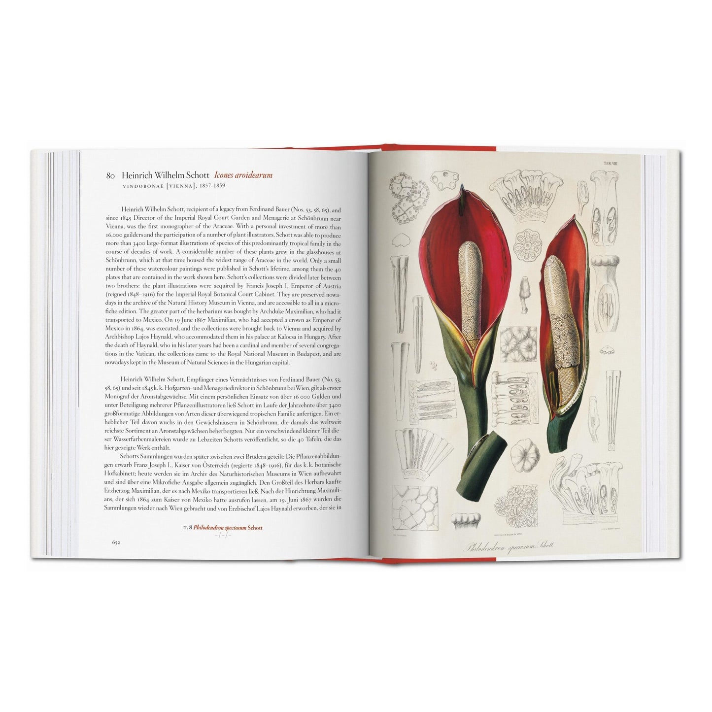 A Garden Eden. Masterpieces of Botanical Illustration. 45th Ed. (German, French, English) Book