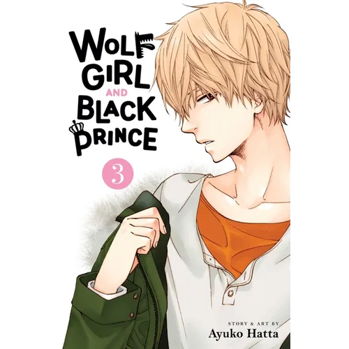 Wolf Girl and Black Prince, Vol. 3
