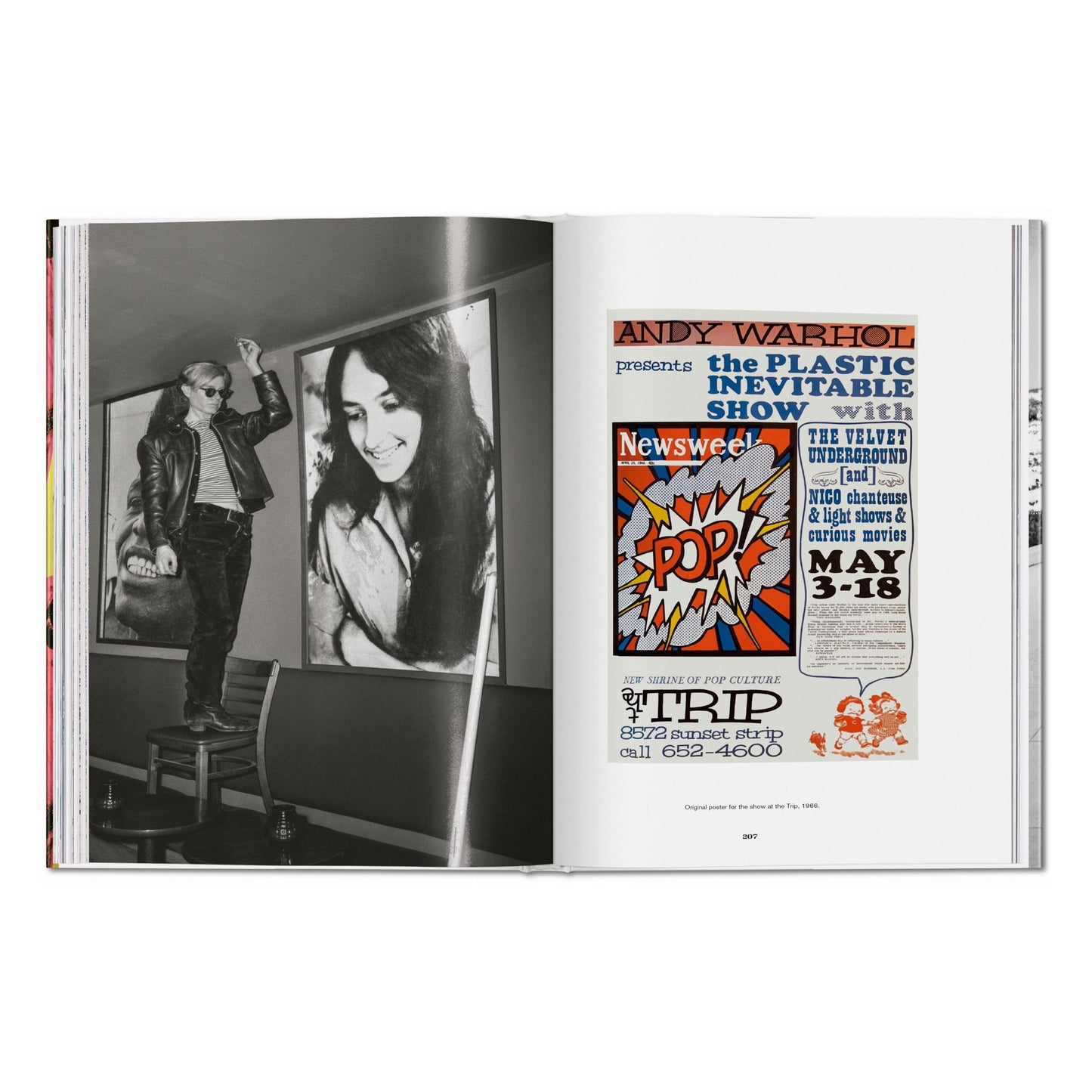 Steve Schapiro. Andy Warhol and Friends (English) Book