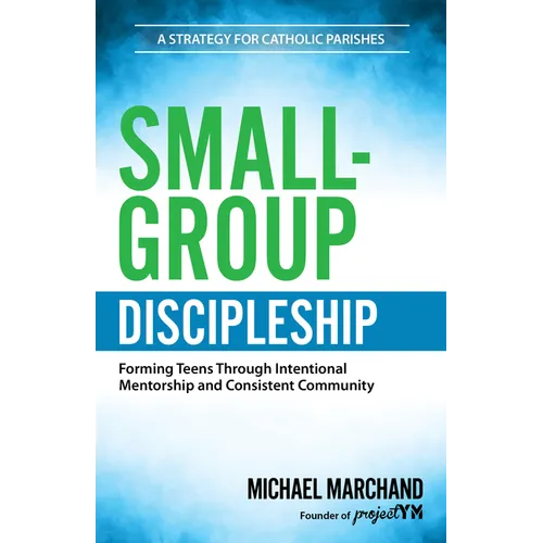 Small-Group Discipleship: Forming Teens Through Intentional Mentorship and Consistent Community a Strategy for Catholic Parishes