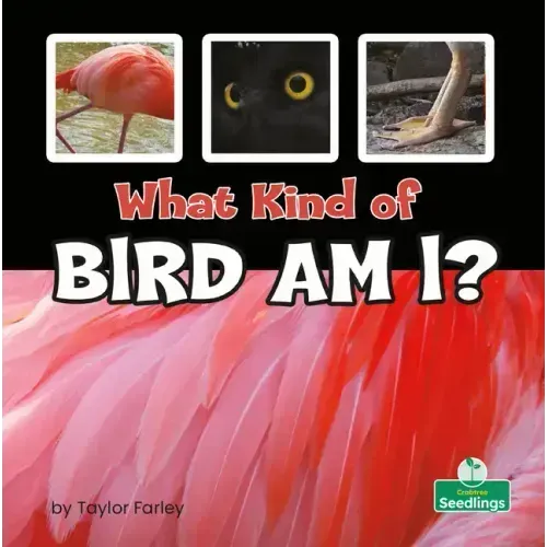 What Kind of Bird Am I?