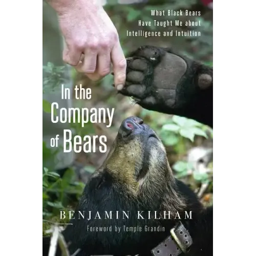 In the Company of Bears: What Black Bears Have Taught Me about Intelligence and Intuition