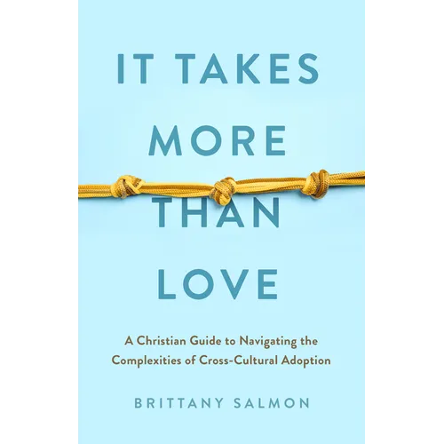 It Takes More Than Love: A Christian Guide to Navigating the Complexities of Cross-Cultural Adoption