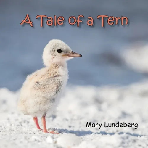 A Tale of a Tern