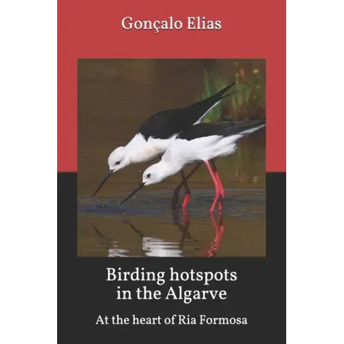 Birding hotspots in the Algarve: At the heart of Ria Formosa