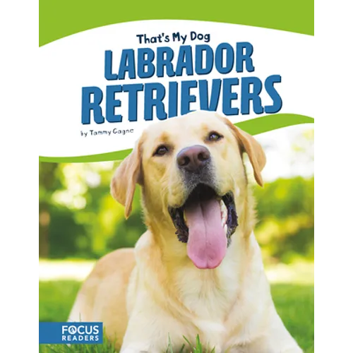 Labrador Retrievers