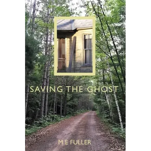 Saving the Ghost