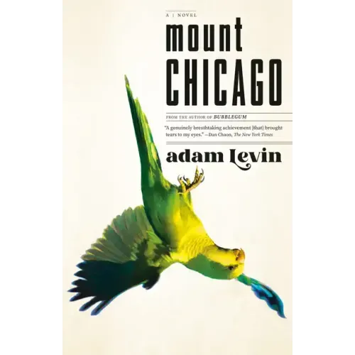 Mount Chicago