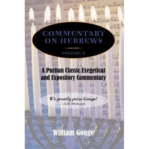 Commentary on Hebrews: Exegetical and Expository - Vol. 2 (8-13)