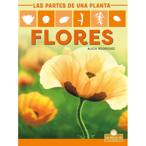 Flores (Flowers)