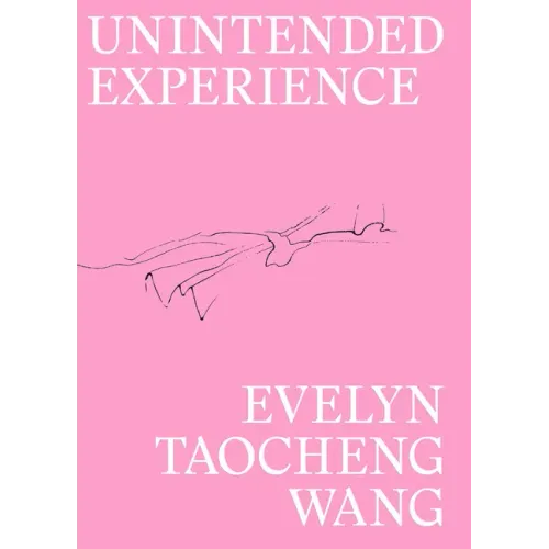 Evelyn Taocheng Wang: Unintended Experience: A Job in Amsterdam