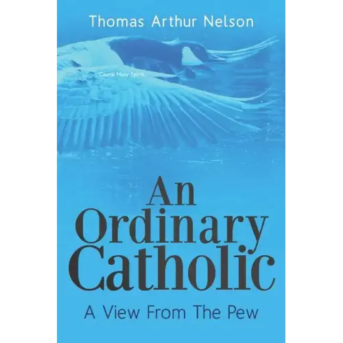 An Ordinary Catholic: A View From The Pew