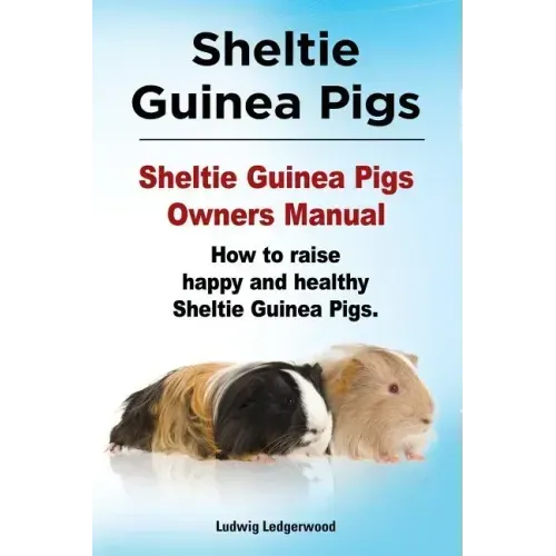 Sheltie Guinea Pigs. Sheltie Guinea Pigs Owners Manual. How to raise happy and healthy Sheltie Guinea Pigs.