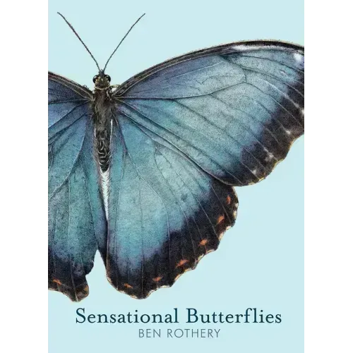 Sensational Butterflies
