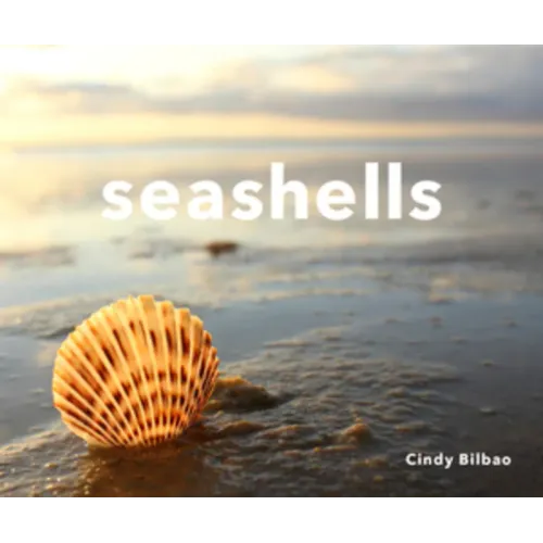 Seashells