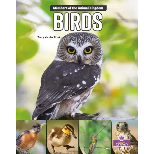 Birds
