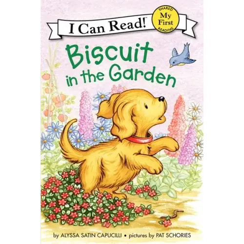 Biscuit in the Garden