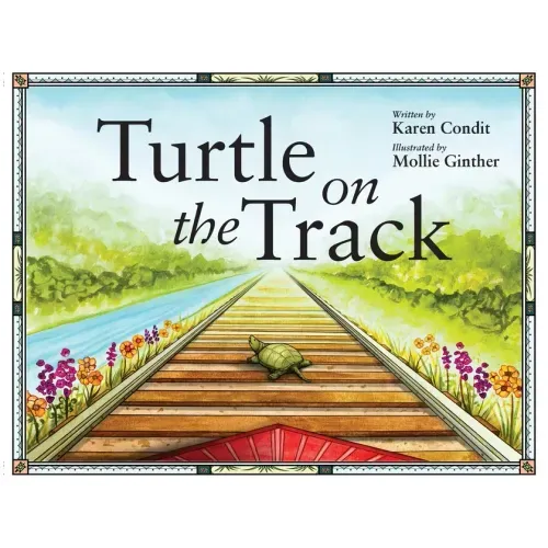 Turtle on the Track
