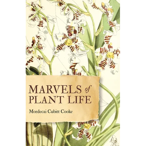 Marvels of Plant Life: Curiosities of Vegetation