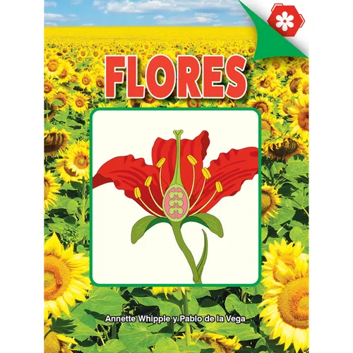 Flores: Flowers