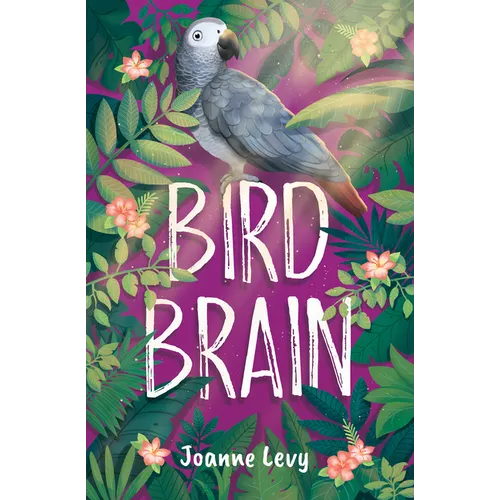 Bird Brain