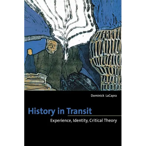 History in Transit: Experience, Identity, Critical Theory