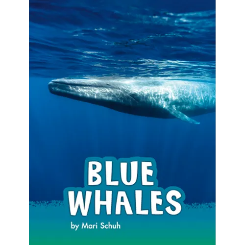 Blue Whales
