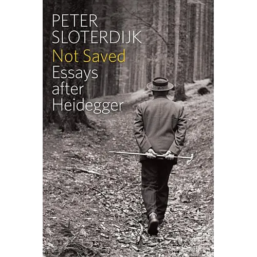 Not Saved: Essays After Heidegger