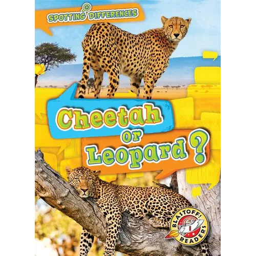 Cheetah or Leopard?