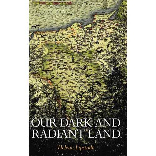 Our Dark and Radiant Land