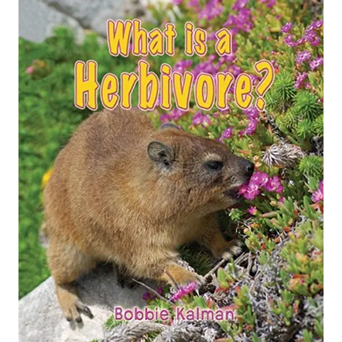 What Is a Herbivore?