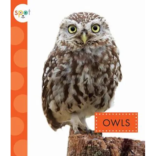 Owls