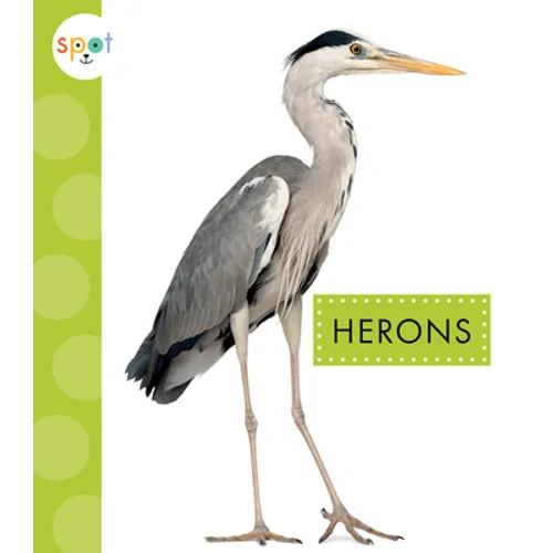 Herons