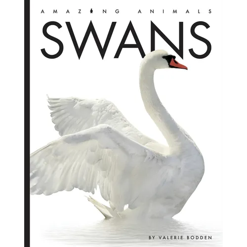 Swans