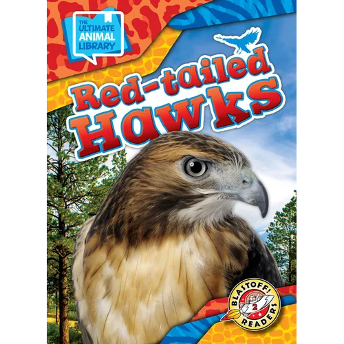 Red-Tailed Hawks