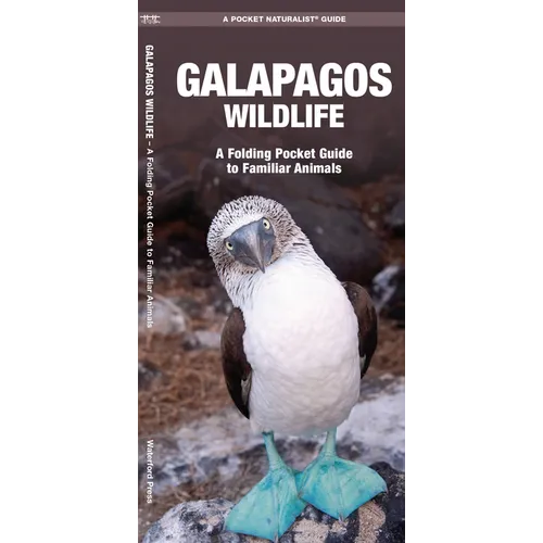 Galapagos Wildlife: An Introduction to Familiar Species