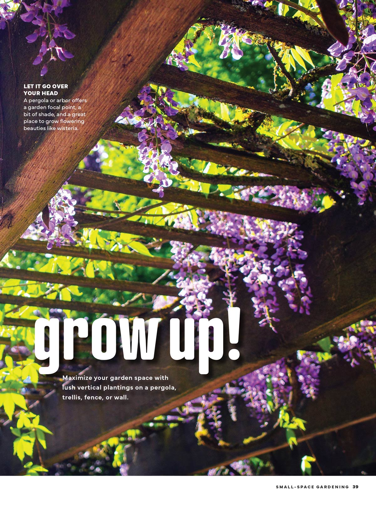 Small Space Gardening - Big Ideas, Make The Most Of Every Square Inch, Grow Your Own Veggies & Save, Dream Retreats, Create A Haven On Your Deck Patio, Porch Or Backyard, Container Success & More!
