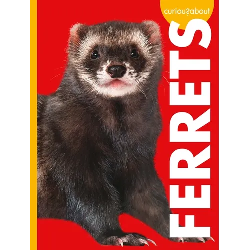 Curious about Ferrets