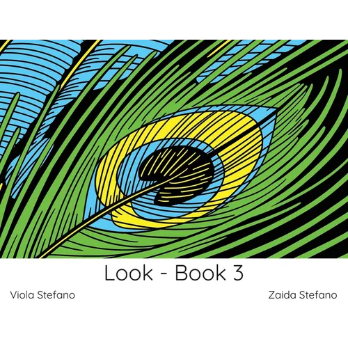 Look - Book 3: VI