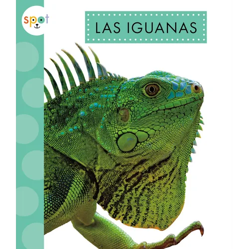 Las Iguanas