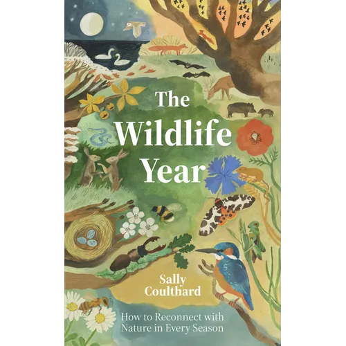 Wildlife Year: How to Reconnect with Nature Through the Seasons