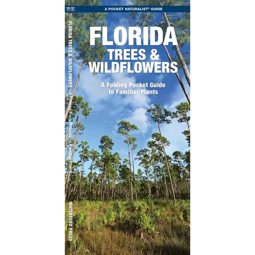 Florida Trees & Wildflowers: A Folding Pocket Guide to Familiar Plants