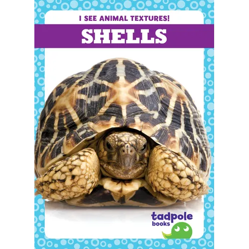 Shells