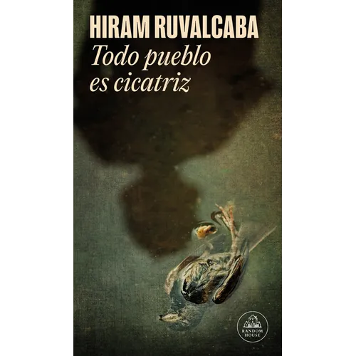 Todo Pueblo Es Cicatriz / Every Town Is a Scar