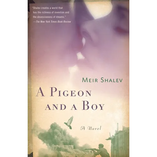 A Pigeon and a Boy