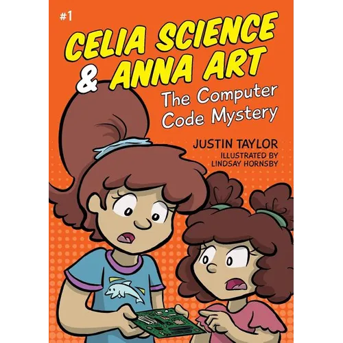 The Computer Code Mystery