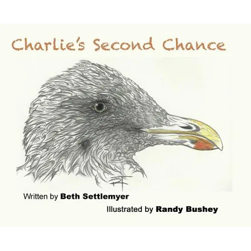 Charlie's Second Chance