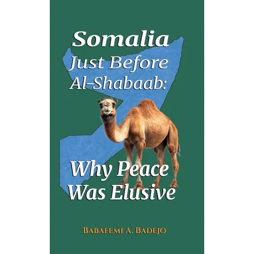 Somalia Just Before Al-Shabaab: Why Peace Was Elusive