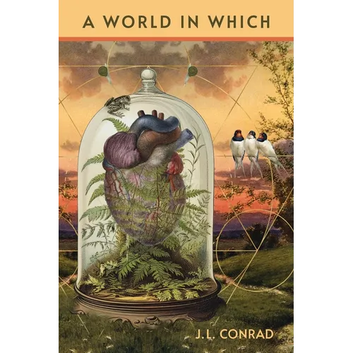 A World in Which